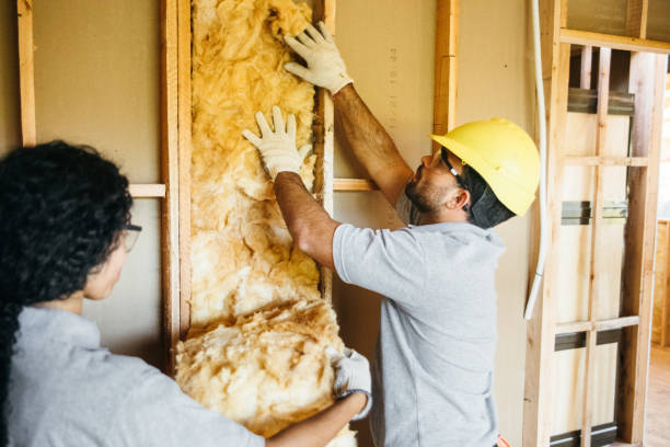 Insulation Repair Services in Flemington, GA